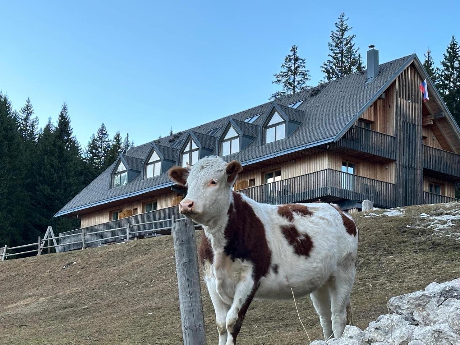 Cosy Lodge Pokljuka Goreljek Exterior foto